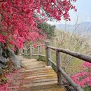 武汉旅游 缩略图 9