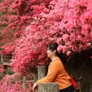 武汉旅游 缩略图 1