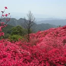 黄冈旅游 缩略图 4