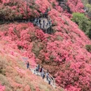 武汉旅游 缩略图 1
