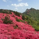 黄冈旅游 缩略图 6