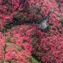 武汉旅游 缩略图 2