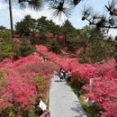 黄冈旅游 缩略图 8