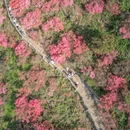 武汉旅游 缩略图 3