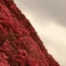 武汉旅游 缩略图 14