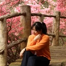 武汉旅游 缩略图 15