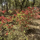 苏州旅游 缩略图 2