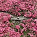 武汉旅游 缩略图 6