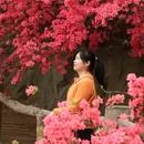 武汉旅游 缩略图 7