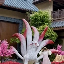 鹰潭旅游 缩略图 2