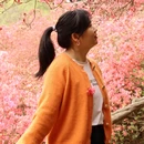 武汉旅游 缩略图 9