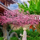 鹰潭旅游 缩略图 4