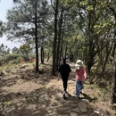苏州旅游 缩略图 4