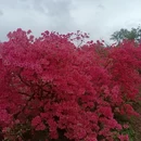 黄冈旅游 缩略图 1