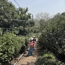 苏州旅游 缩略图 9