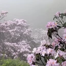 深圳旅游 缩略图 2