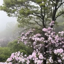 深圳旅游 缩略图 3