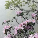 深圳旅游 缩略图 4