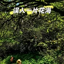 遵义旅游 缩略图 1