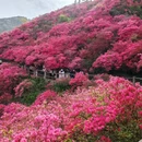 武汉旅游 缩略图 1