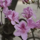 武汉旅游 缩略图 6