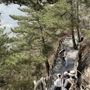 武汉旅游 缩略图 7