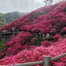 武汉旅游 缩略图 2