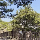 武汉旅游 缩略图 8
