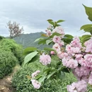 杭州旅游 缩略图 9
