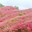 黄冈旅游 缩略图 2