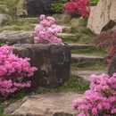 金华旅游 缩略图 14