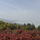 苏州旅游 缩略图 5