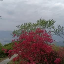 黄冈旅游 缩略图 5