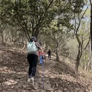 苏州旅游 缩略图 7