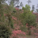 黄冈旅游 缩略图 3