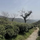 苏州旅游 缩略图 8