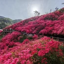 武汉旅游 缩略图 3