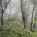 深圳旅游 缩略图 10
