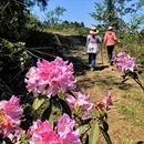 遵义旅游 缩略图 5