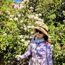 遵义旅游 缩略图 6