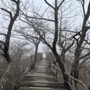 黄冈旅游 缩略图 13