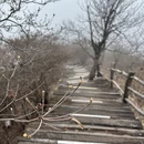 黄冈旅游 缩略图 14