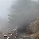 黄冈旅游 缩略图 15