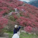武汉旅游 缩略图 1