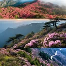 神农架林区旅游 缩略图 1