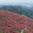 武汉旅游 缩略图 2