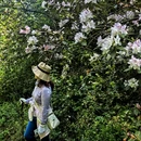 遵义旅游 缩略图 8