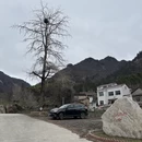 黄冈旅游 缩略图 1