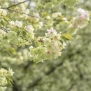 上海旅游 缩略图 1