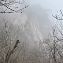 黄冈旅游 缩略图 8